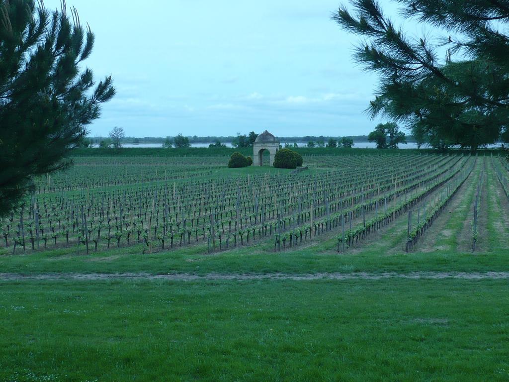 Gites Gayet Saint-Androny Exterior foto